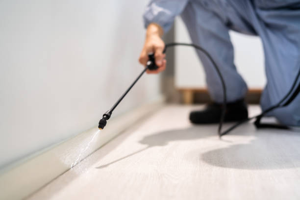 Licensed Fumigation Services service in Harvey, LA - Nex Pest Control