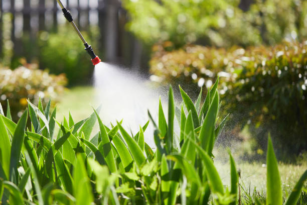24/7 Emergency Fumigation Services experts in Harvey, LA