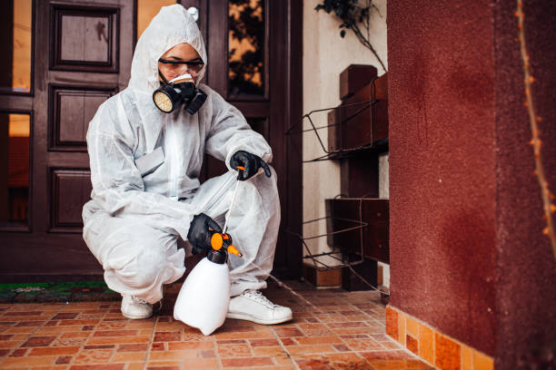 Reliable Fumigation Services contractor in Harvey, LA by Nex Pest Control