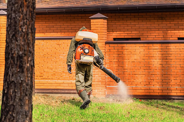 Top rated local Fumigation Services specialists in Harvey, LA